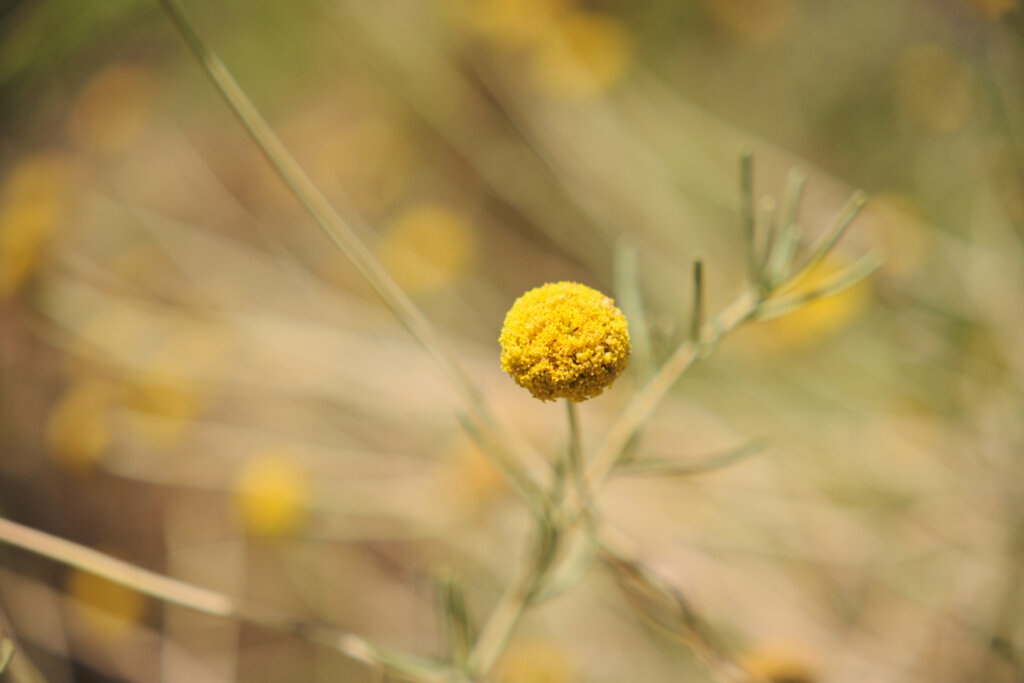 Stock Photos Edward00024