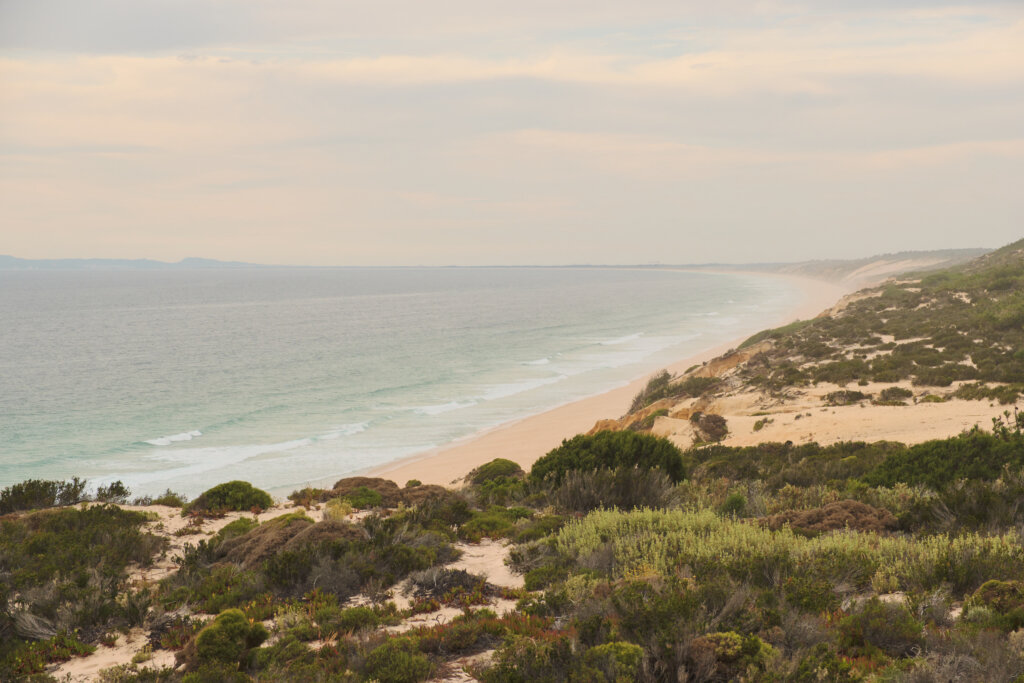 Stock Photos Edward00046