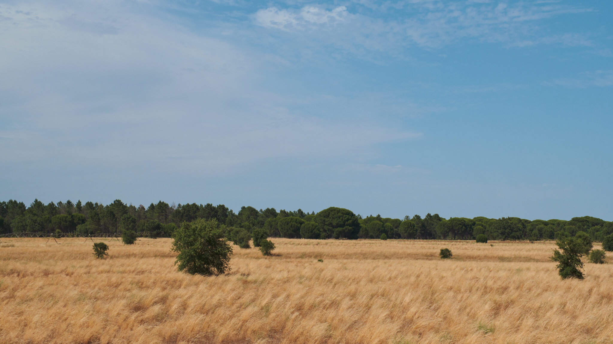 Stock Photos Edward00028